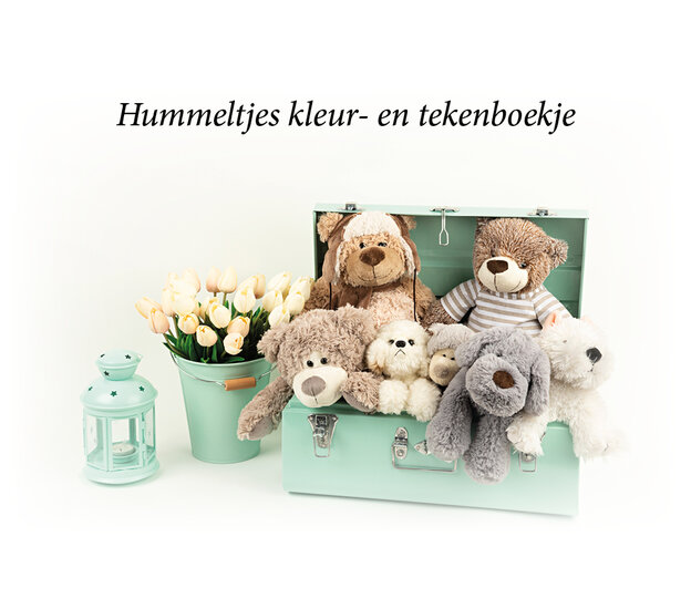 Hummeltjes kleur- en tekenboek