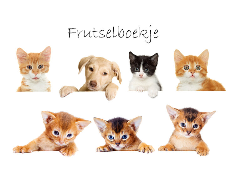 Frutselboekje (Celia)