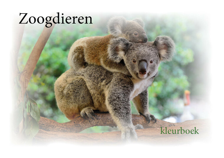 Zoogdieren kleurboek