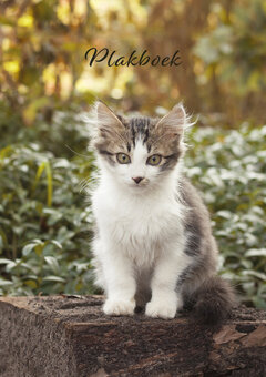 Plakboek Moortje Plakboek Moortje