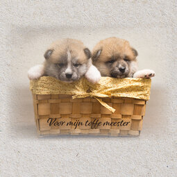 Voor mijn toffe meester (Boris en Max) Voor mijn toffe meester (Boris en Max)