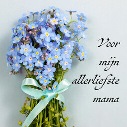 Voor mijn allerliefste mama (Tamara) Voor mijn allerliefste mama (Tamara)