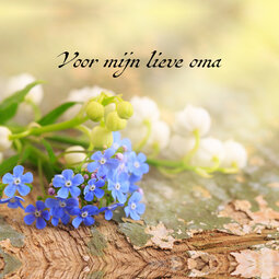 Voor mijn lieve oma Voor mijn lieve oma