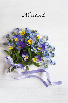 Notitieboek (Olivia) Notitieboek (Olivia)