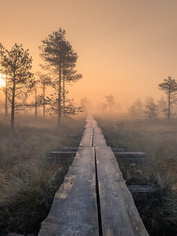 Notitieboek Deniz Notitieboek Deniz
