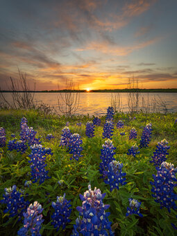 Notitieboek Bagoes Notitieboek Bagoes