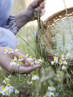 Notitieboek Caresse Notitieboek Caresse