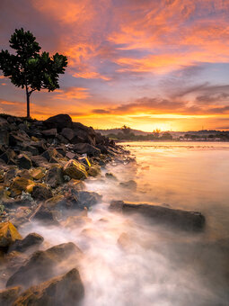 Notitieboek Casja Notitieboek Casja