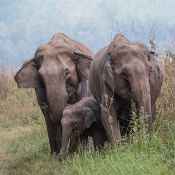 Notitieboek Berry Notitieboek Berry