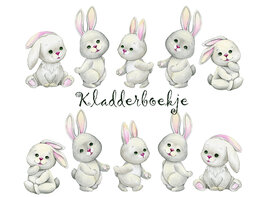 Kladderboekje Hangoortje